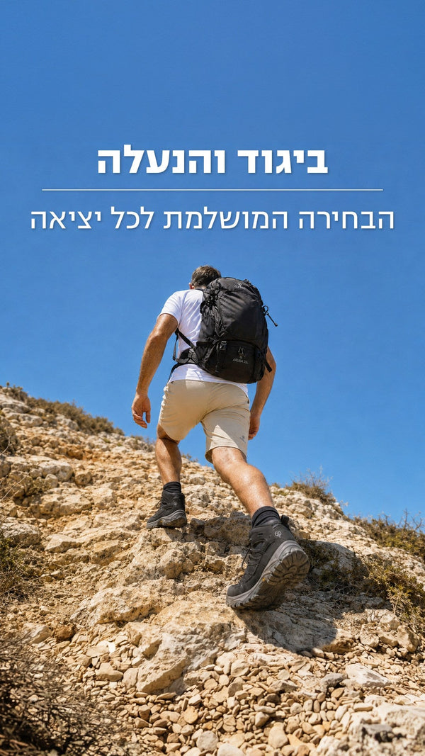 ביגוד והנעלה