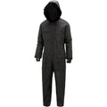 Cyclone II overall